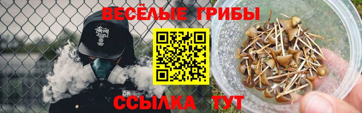 Галлюциногенные грибы Magic Shrooms Междуреченск