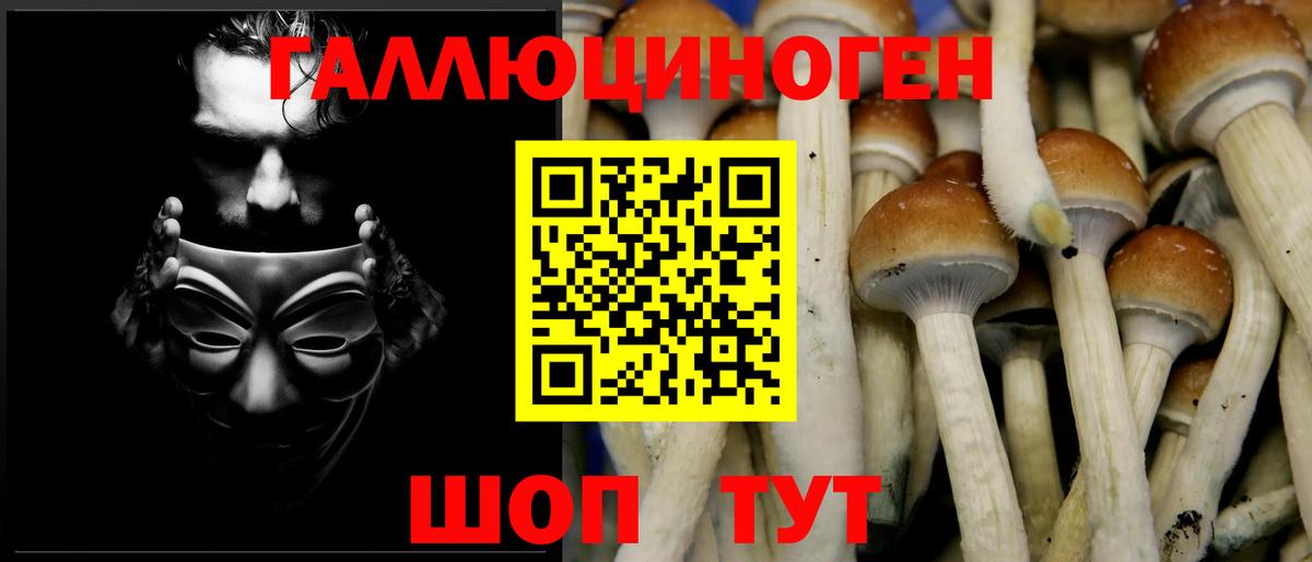 Меф   ГАШ  Междуреченск  Вход с VPN  Наркошоп 